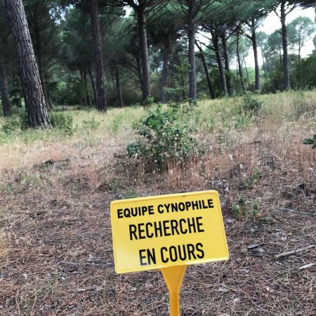 Entraînement du 14 Juin 2019