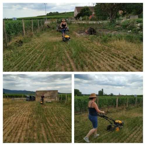 Terrain 30 7 Tondeuse