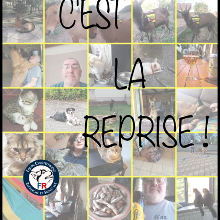 MONTAGE REPRISE ECRS